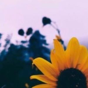 Meet your Posher, Cadence